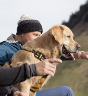 Gesunder Hund (7)