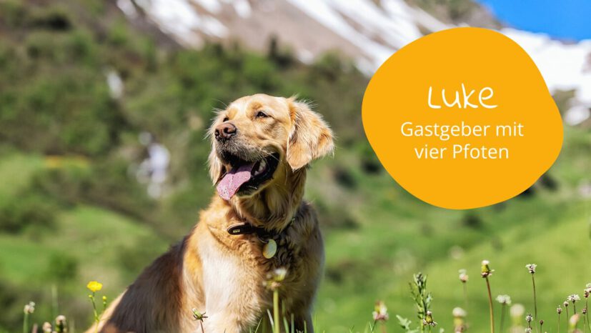 Luke ist unser Gastgeber mit vier Pfoten im Hotel Sonnasita in Faschina.